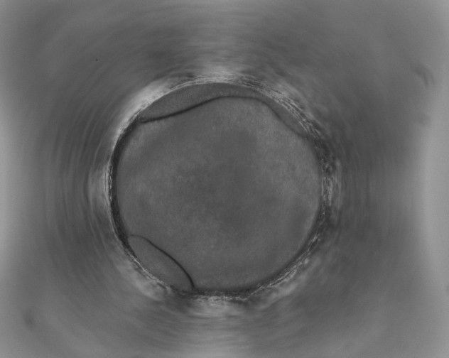 X0000111440244200908031358