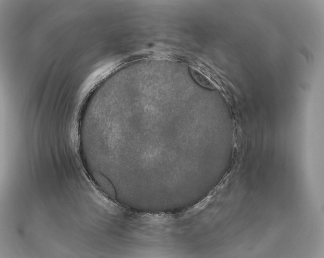 X0000111440245200908031358