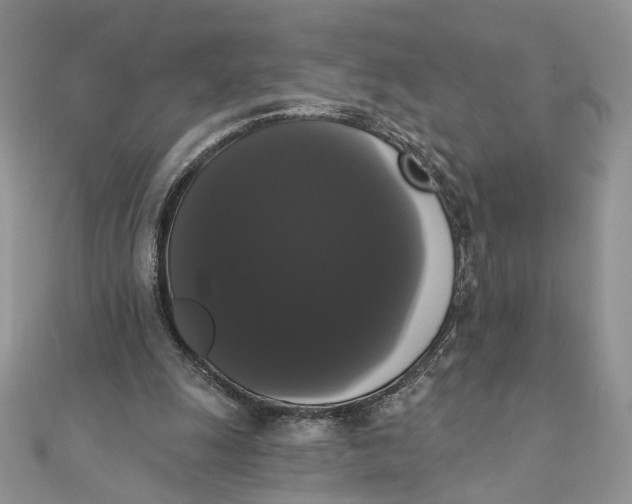 X0000111440247200908031358