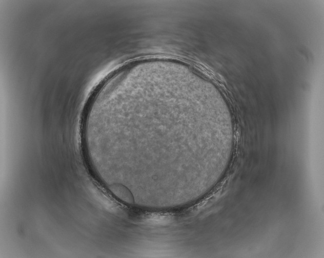 X0000111440248200908031358