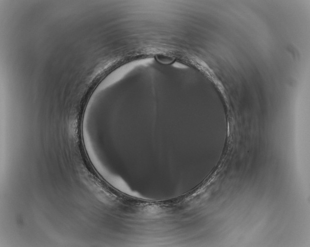 X0000111440249200908031358