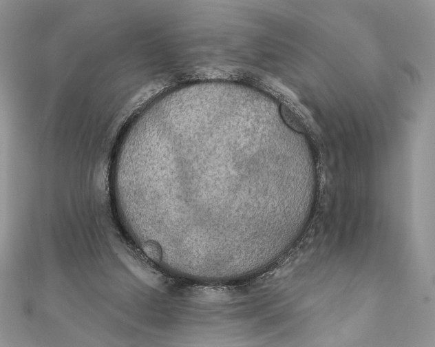 X0000111440250200908031358