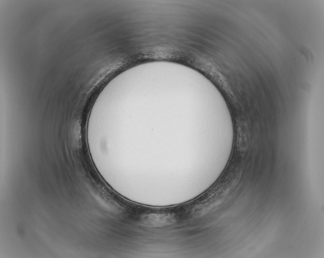 X0000111440251200908031358