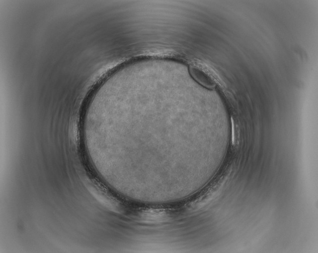 X0000111440252200908031358