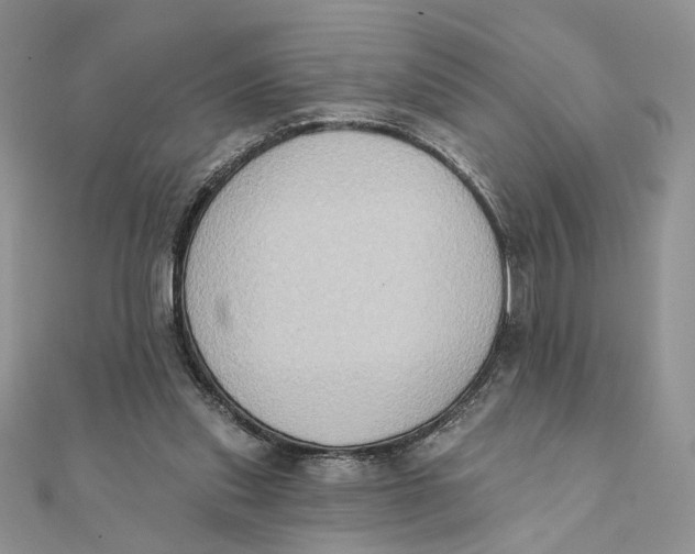 X0000111440253200908031358