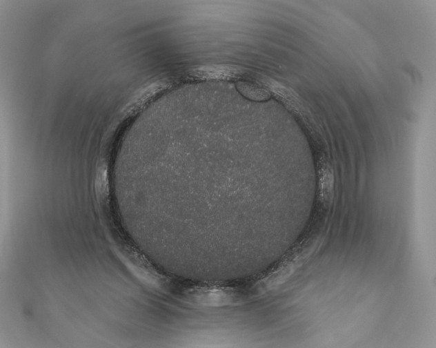 X0000111440254200908031358