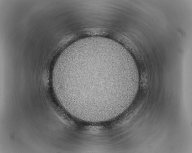 X0000111440255200908031358