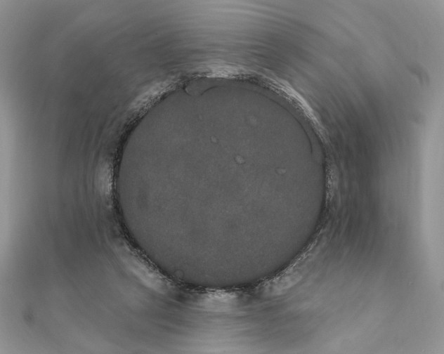 X0000111440257200908031358