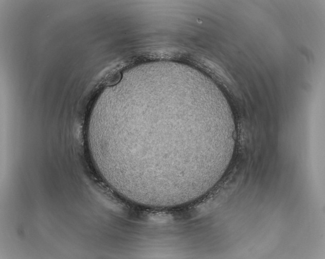 X0000111440258200908031358