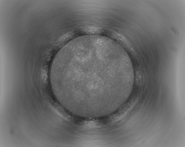 X0000111440259200908031358