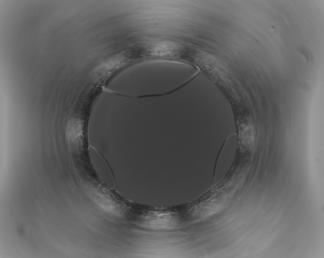 X0000111440260200908031358