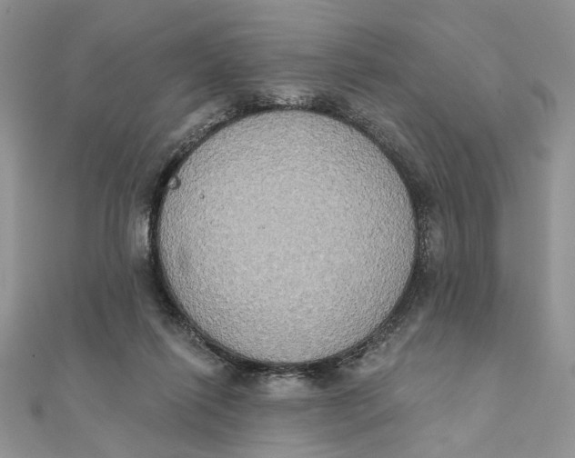 X0000111440262200908031358