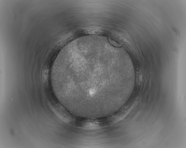 X0000111440263200908031358