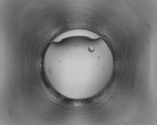 X0000111440264200908031358