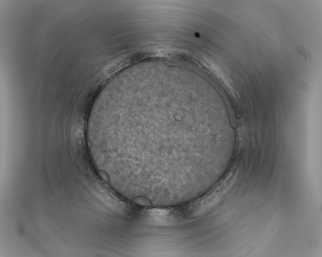 X0000111440265200908031358