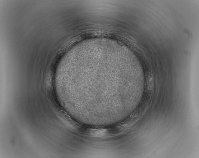 X0000111440266200908031358