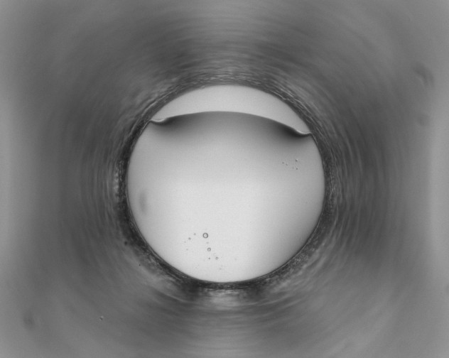 X0000111440268200908031358