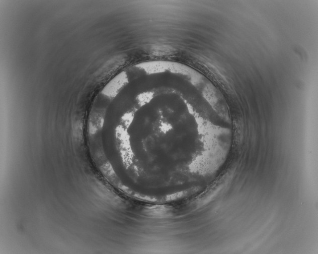 X0000111440269200908031358