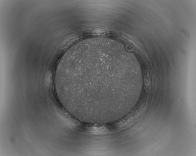 X0000111440270200908031358