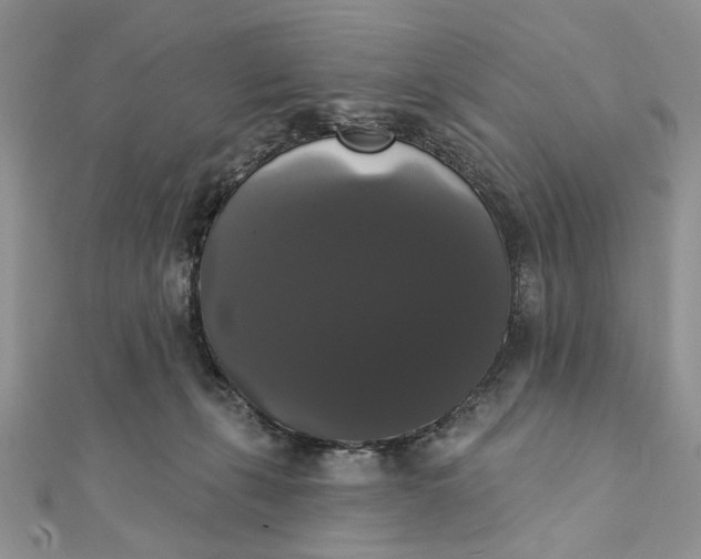 X0000111440271200908031358