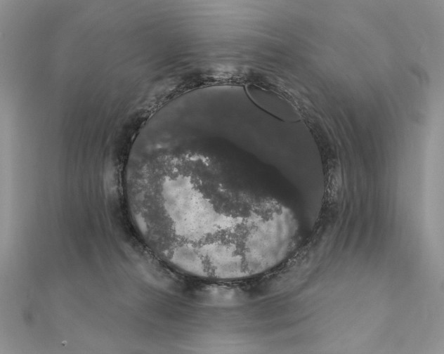 X0000111440272200908031358