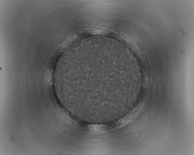 X0000111440273200908031358