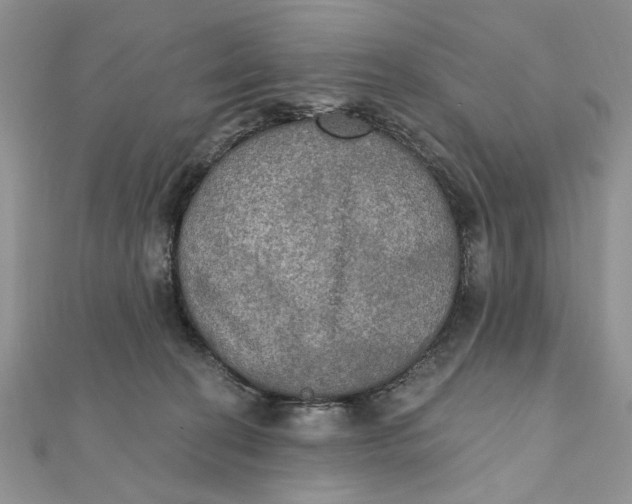 X0000111440274200908031358