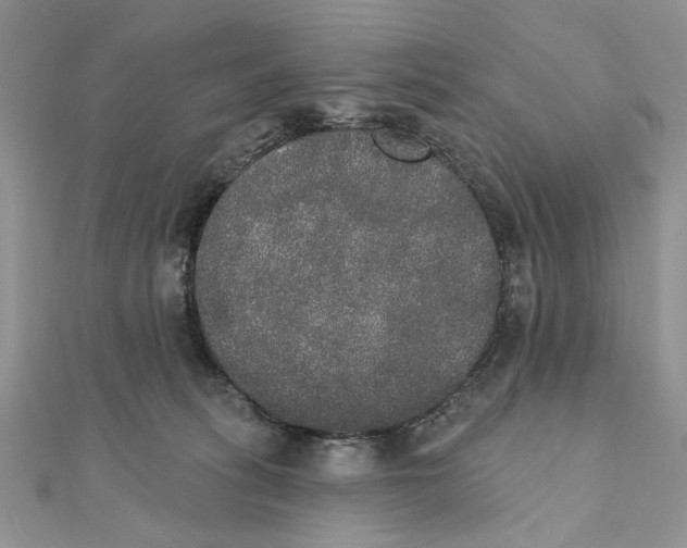 X0000111440275200908031358