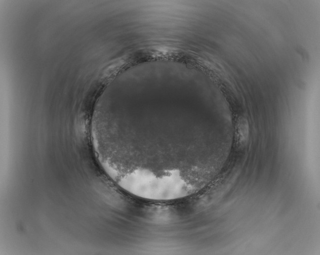 X0000111440276200908031358