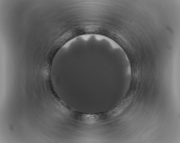 X0000111440277200908031358