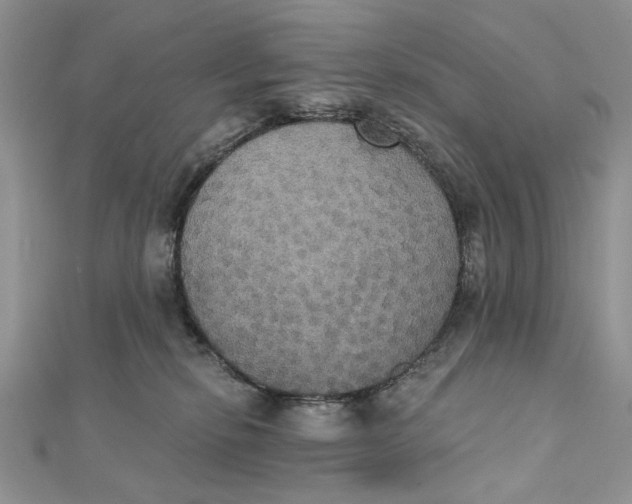 X0000111440278200908031358