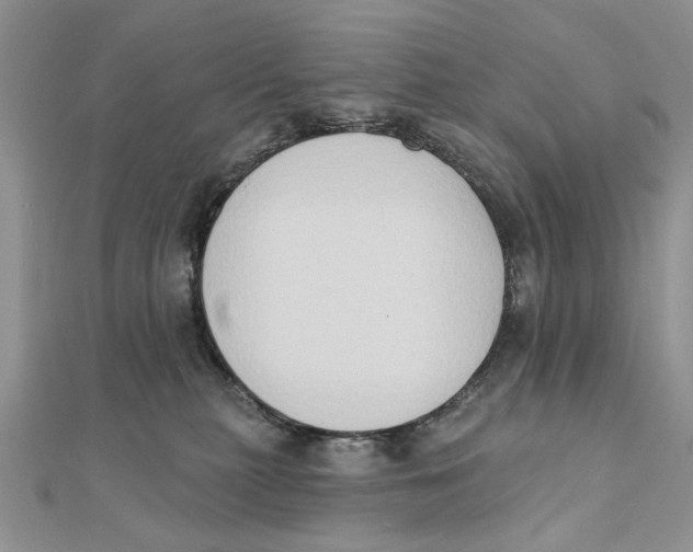 X0000111440279200908031358