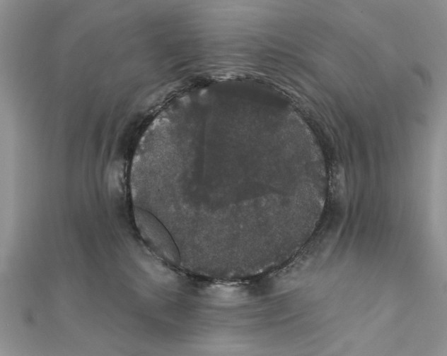 X0000111440280200908031358