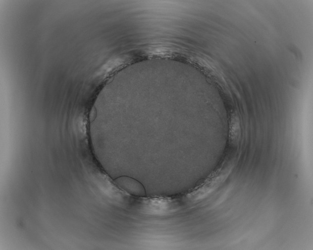 X0000111440282200908031358