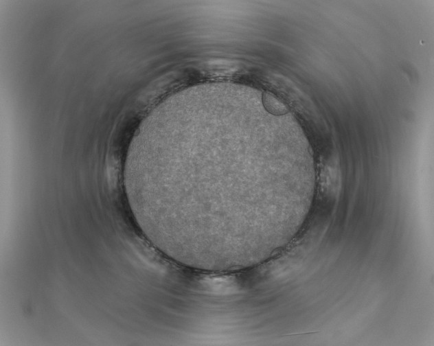 X0000111440283200908031358