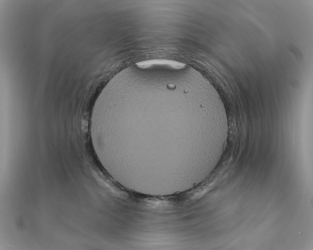 X0000111440284200908031358