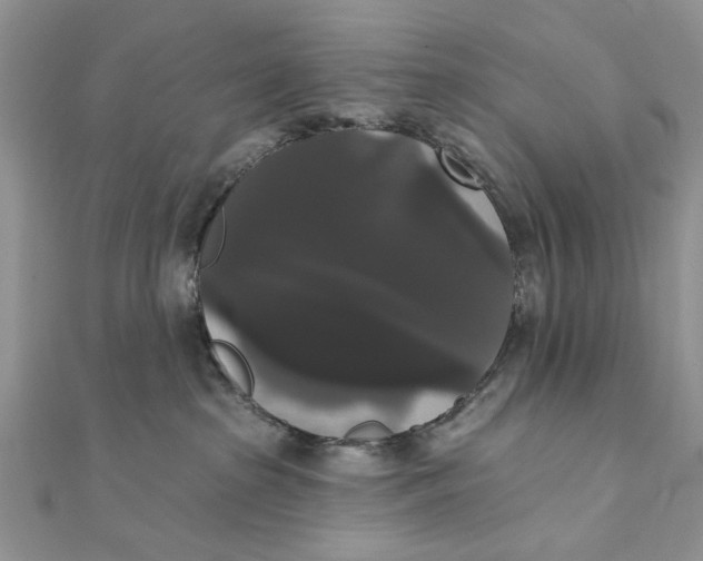 X0000111440285200908031358