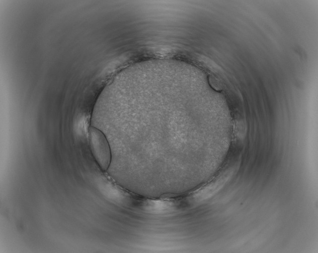 X0000111440286200908031358