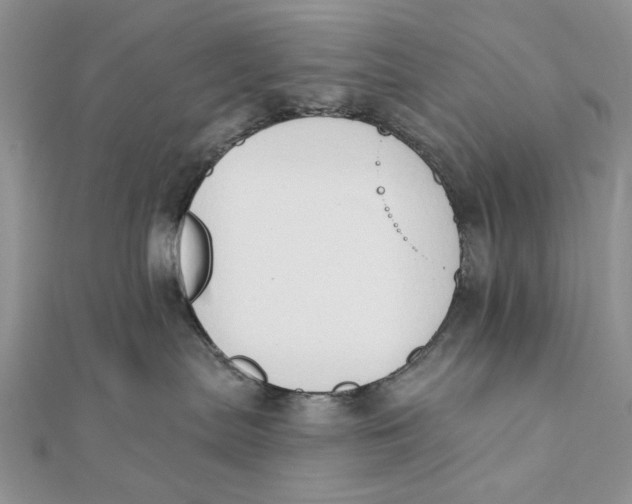 X0000111440287200908031358