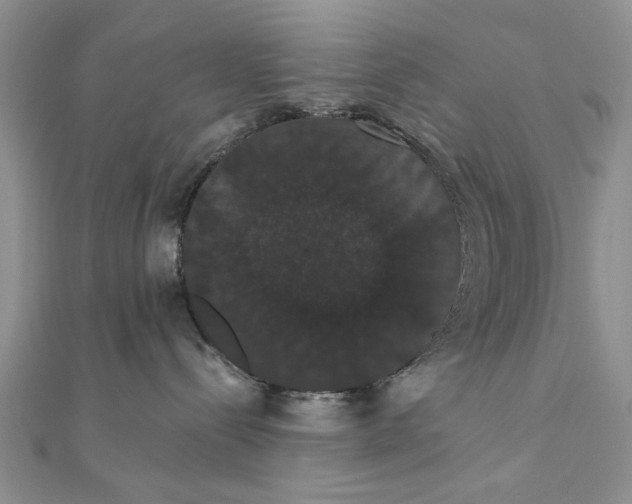 X0000111440288200908031358