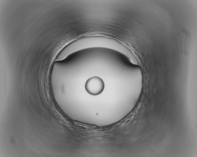 X0000111440289200908031358