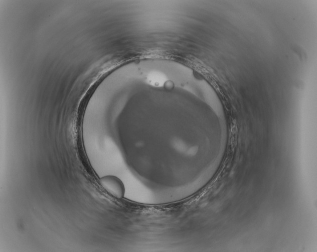 X0000111440290200908031358