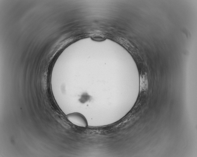 X0000111440291200908031358