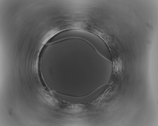 X0000111440292200908031358