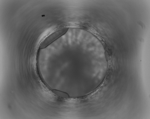 X0000111440293200908031358