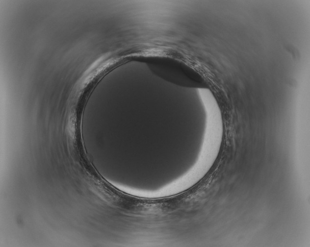 X0000111440295200908031358