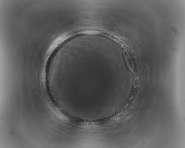 X0000111440296200908031358