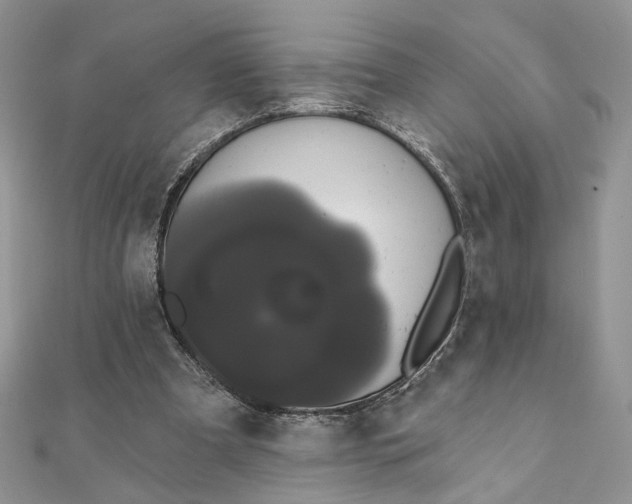 X0000111440297200908031358