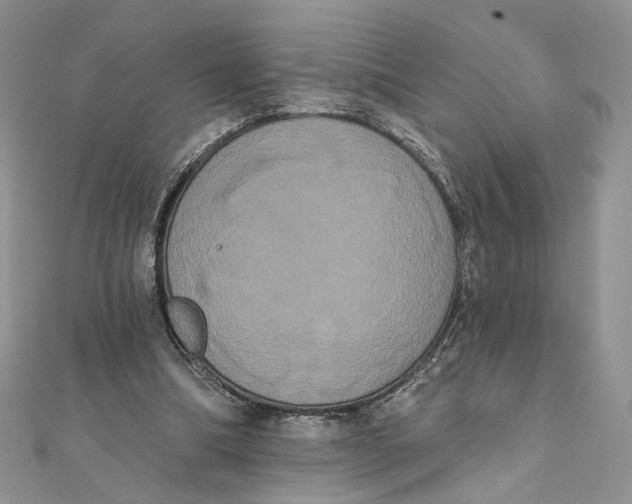 X0000111440298200908031358