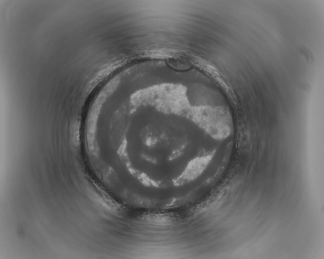 X0000111440299200908031358